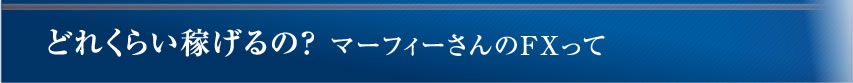 マーフィーさんのFXって
どれくらい稼げるの?