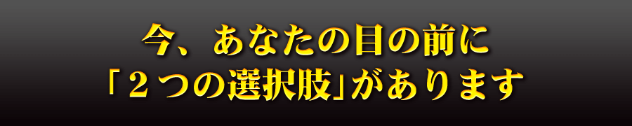 今、あなたの目の前に「2つの選択肢」があります