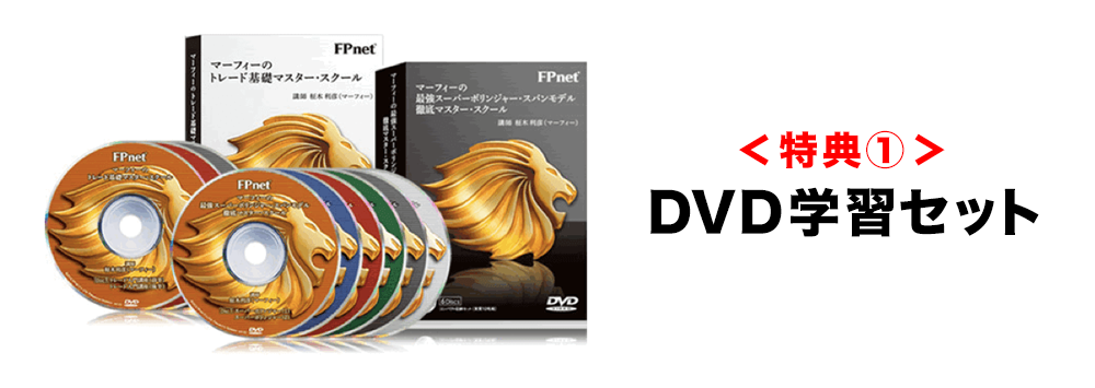 <特典①>DVD学習セット