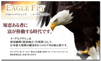 新イーグルフライ画像