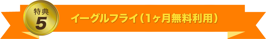 イーグルフライ