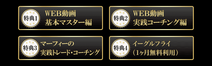 『マーフィーのFX投資術』特典一覧