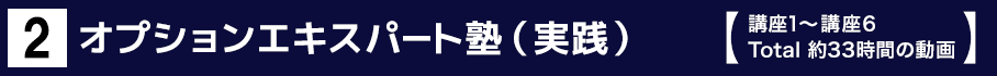 2 オプションエキスパート塾（実践）