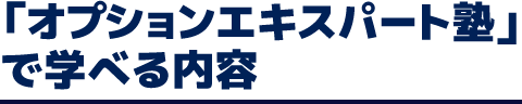 「オプションエキスパート塾」で学べる内容