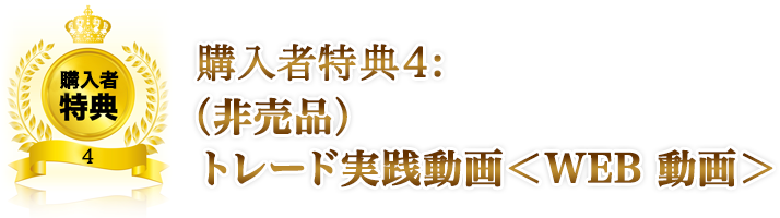購入者特典4：（非売品）トレード実践動画＜WEB動画＞